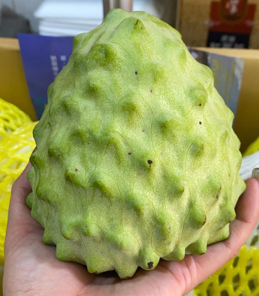 Loại na siêu to khổng lồ, quả nặng tới 1,5kg có giá gần 1 triệu đồng-2