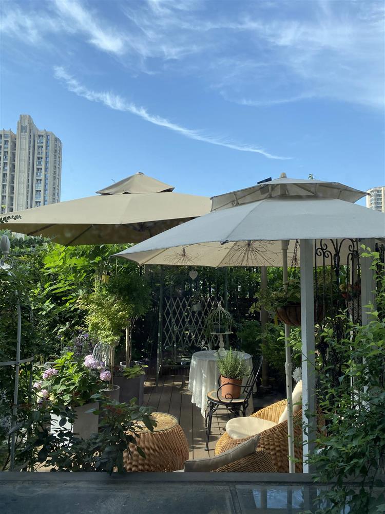 Cặp vợ chồng chi gần 200 triệu cải tạo sân vườn rộng 40m², nhìn vào thành quả mới thấy hoàn toàn đáng giá-2