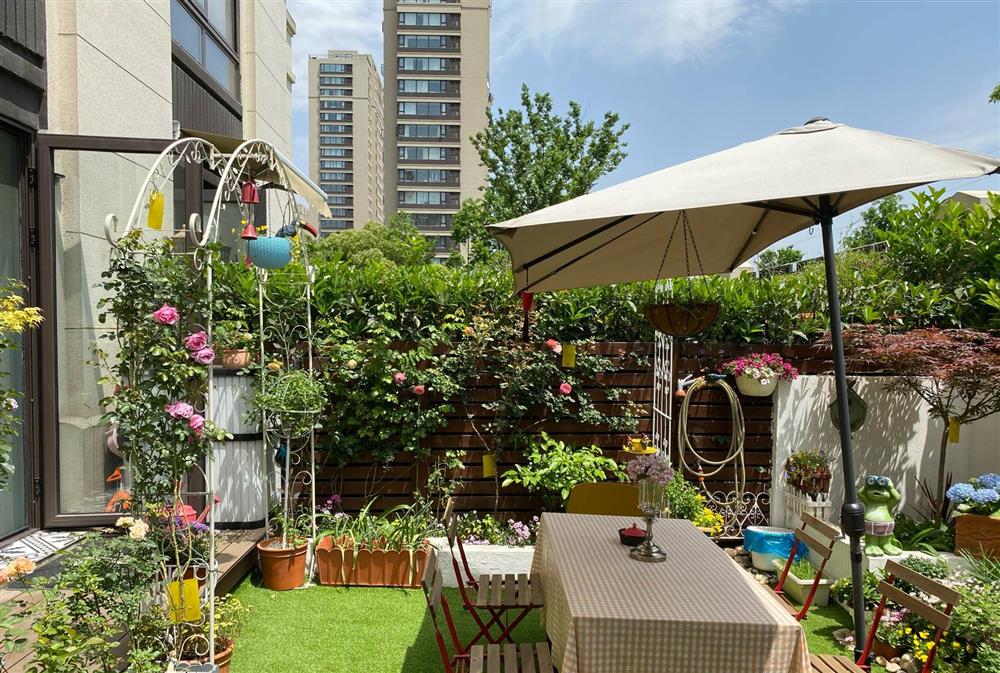 Cặp vợ chồng chi gần 200 triệu cải tạo sân vườn rộng 40m², nhìn vào thành quả mới thấy hoàn toàn đáng giá-5