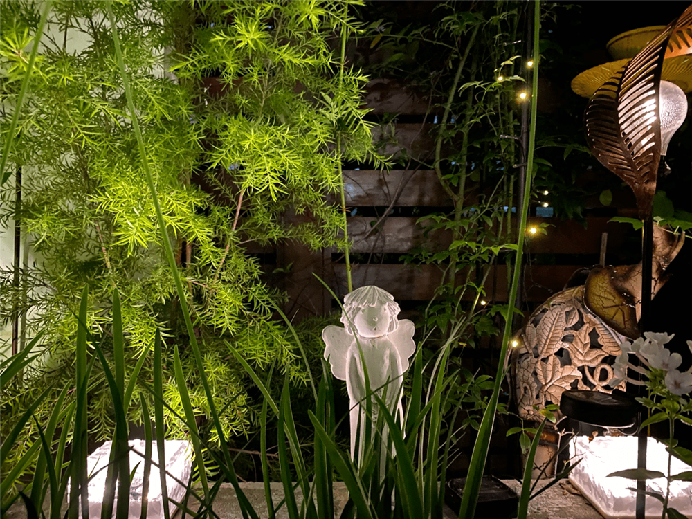 Cặp vợ chồng chi gần 200 triệu cải tạo sân vườn rộng 40m², nhìn vào thành quả mới thấy hoàn toàn đáng giá-11