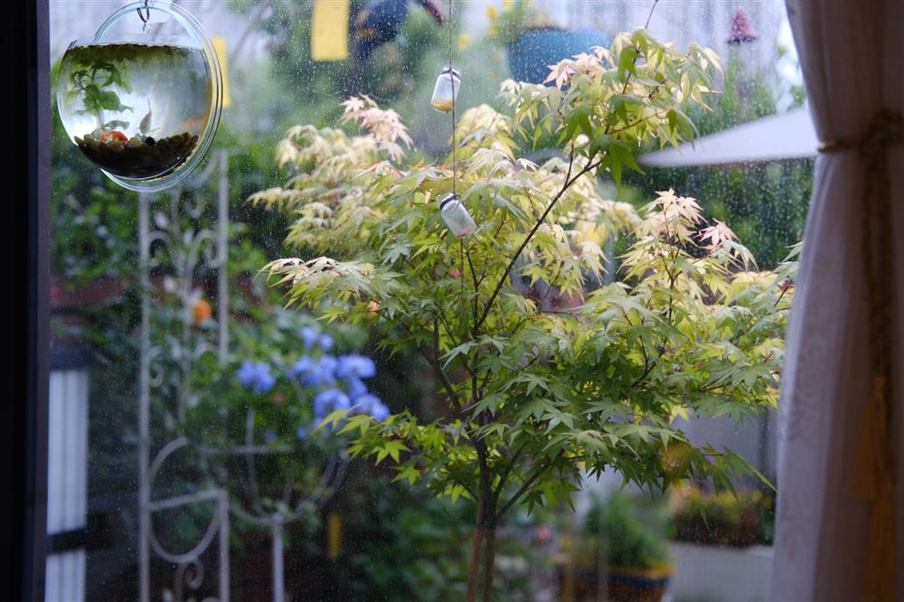 Cặp vợ chồng chi gần 200 triệu cải tạo sân vườn rộng 40m², nhìn vào thành quả mới thấy hoàn toàn đáng giá-21