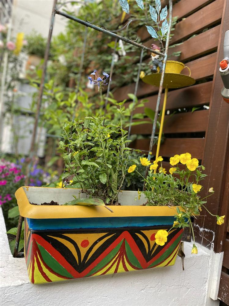 Cặp vợ chồng chi gần 200 triệu cải tạo sân vườn rộng 40m², nhìn vào thành quả mới thấy hoàn toàn đáng giá-22