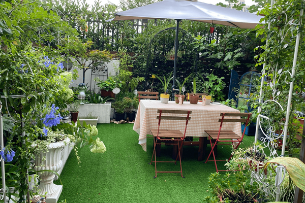 Khu vườn sân thượng nhỏ xíu, tuy diện tích có hạn nhưng sở hữu vô vàn các loài hoa-16