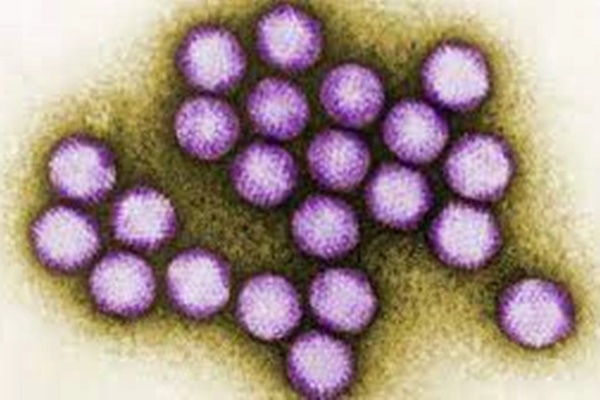 Hàng loạt ca nghi viêm gan bí ẩn được phát hiện ở Đông Nam Á-1