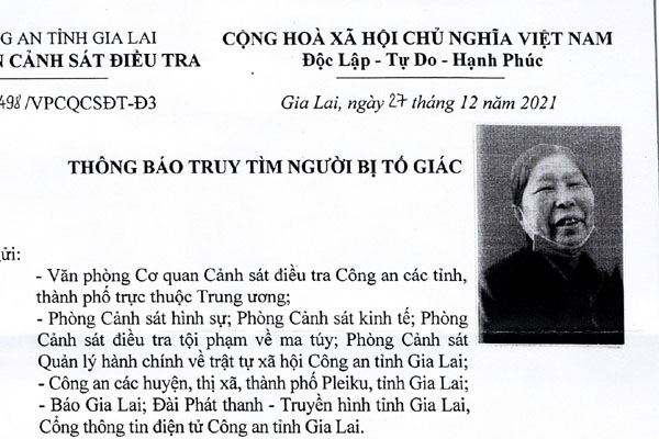 Nữ cán bộ ngân hàng lừa đảo gần 50 tỷ-2