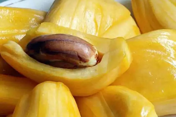 Người Nhật cực quý bộ phận này của quả mít: Phụ nữ ăn sẽ xóa mờ nếp nhăn, khỏe nội tạng, tốt cho sinh lý nhưng người Việt vẫn thường vứt bỏ-2