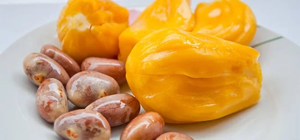 Người Nhật cực quý bộ phận này của quả mít: Phụ nữ ăn sẽ xóa mờ nếp nhăn, khỏe nội tạng, tốt cho sinh lý nhưng người Việt vẫn thường vứt bỏ-3