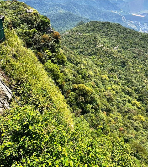Cận cảnh nơi nữ du khách U60 rơi xuống suốt 7 ngày ở Yên Tử: Vực sâu hàng trăm mét, vách núi dựng đứng-2