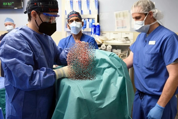 Hé lộ nguyên nhân khiến người đầu tiên được ghép tim lợn tử vong-1