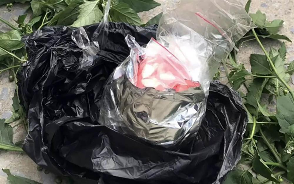 Dùng xe đạp chở 1.000 viên ma tuý ngụy trang dưới bó rau-2