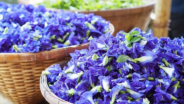 Đậu đen đem nấu cùng thứ này giúp xóa nếp nhăn, mịn da và giảm béo nhanh-6