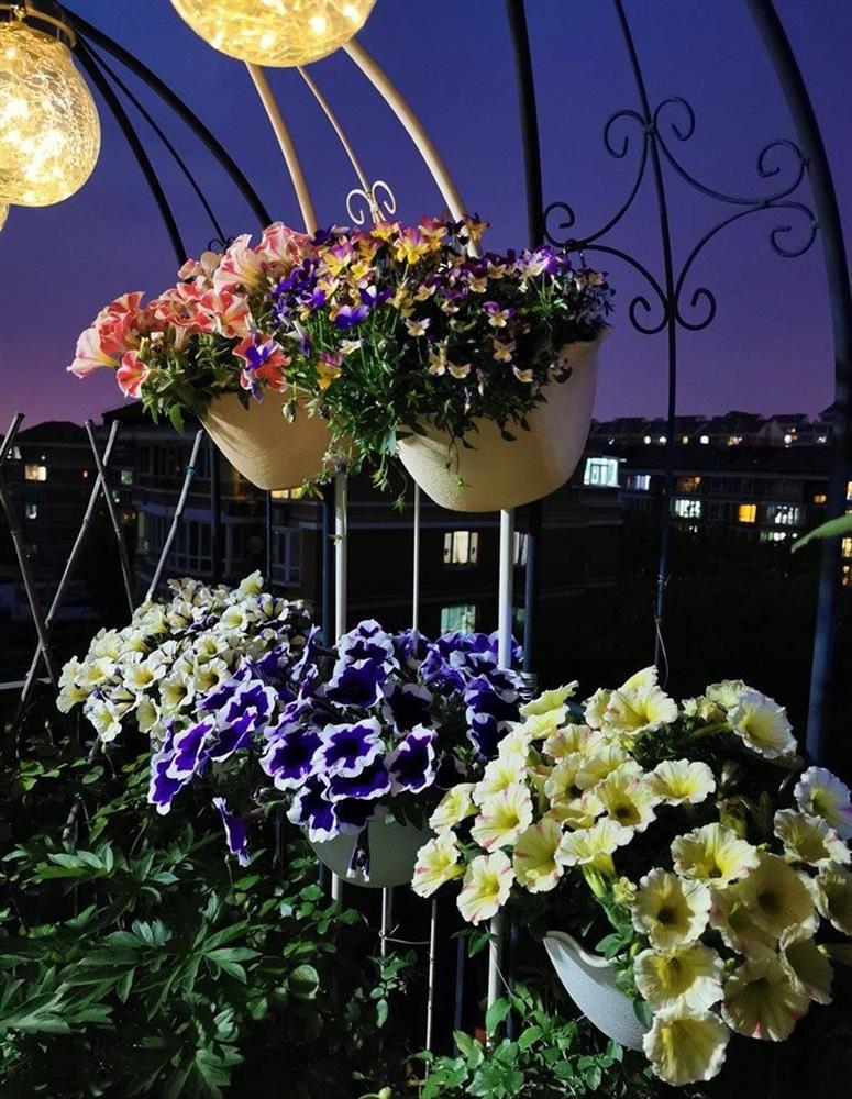 Khu vườn sân thượng nhỏ xíu, tuy diện tích có hạn nhưng sở hữu vô vàn các loài hoa-5