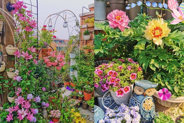 Trang trí phòng khách nhớ tránh 7 vật này kẻo bất lợi, xui xẻo đeo bám-2