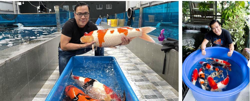 Vua cá Koi Thắng Ngô là ai mà sở hữu công ty cá hàng top thế giới, từng gây sốt từ cuộc thi Siêu trí tuệ Việt Nam?-1