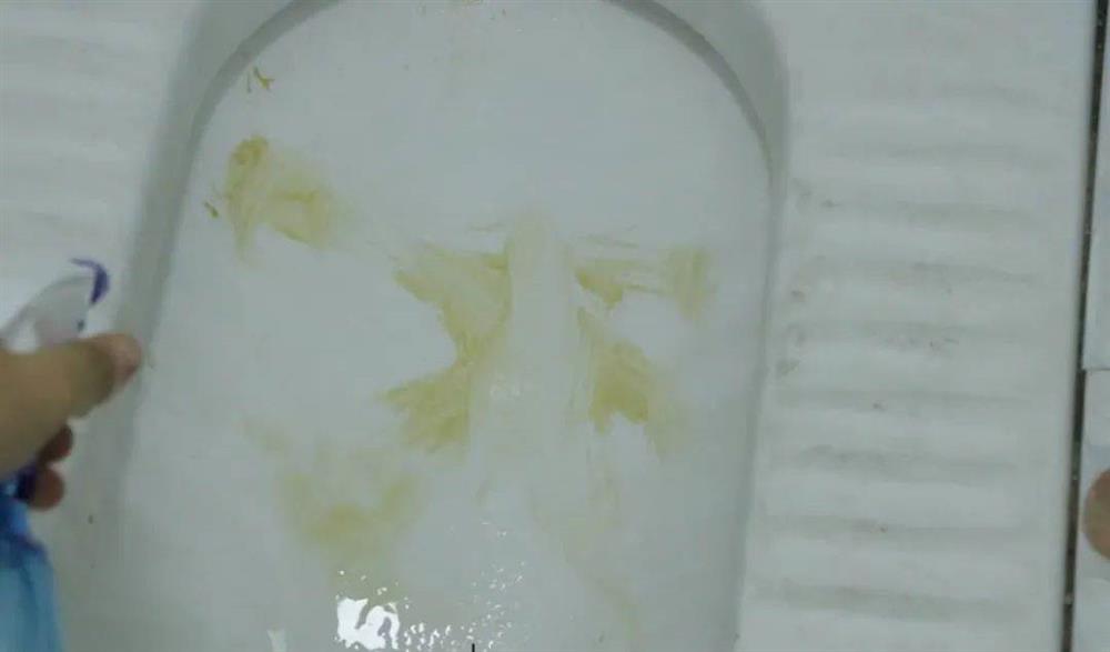 Bóp kem đánh răng vào gừng đem lại hiệu quả tuyệt vời, vợ biết mà làm theo thì được chồng khen cả ngày-5