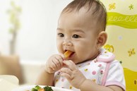 Thực đơn ăn dặm kiểu Nhật cho bé 7 tháng đầy đủ dinh dưỡng