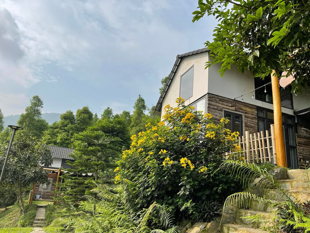 Cuộc sống của Việt Hoàn: Cưới vợ đẹp như hoa hậu, sống bình yên trong trang trại 10.000m2-10