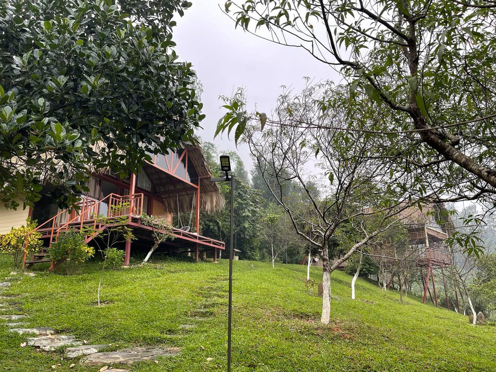 Cuộc sống của Việt Hoàn: Cưới vợ đẹp như hoa hậu, sống bình yên trong trang trại 10.000m2-6