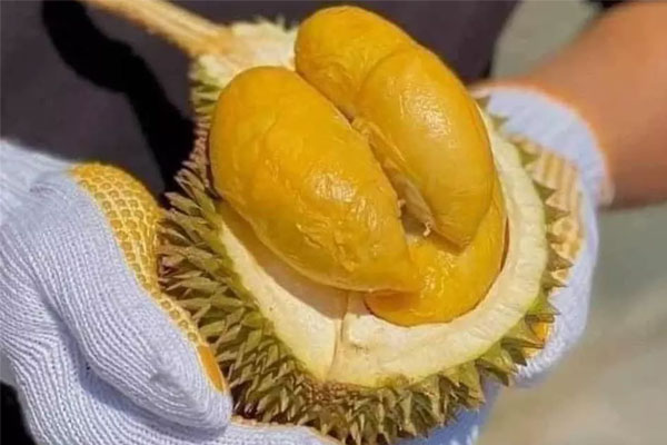 Sầu riêng Thái Lan dội chợ, giá đắt gấp đôi hàng Việt vẫn ‘cháy hàng’-1