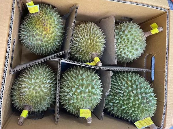 Sầu riêng Thái Lan dội chợ, giá đắt gấp đôi hàng Việt vẫn ‘cháy hàng’-3
