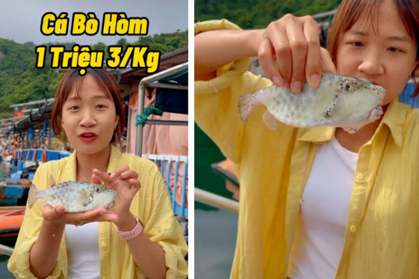 Dân mạng tranh cãi về một loài cá có giá hơn 1 triệu/kg nhỏ bằng nắm tay nhưng vị như thịt gà, vậy sao không mua con gà hơn 200k mà ăn?-1