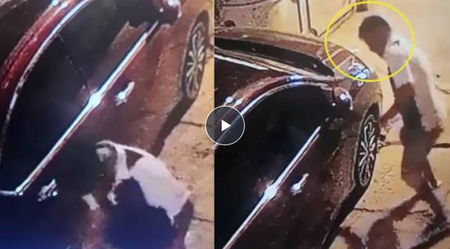 Người đàn ông cầm dao đâm thủng lốp xe ô tô hàng xóm lúc nửa đêm, xem camera ai nấy cực phẫn nộ-1