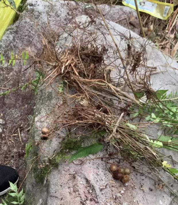 Cận cảnh những món đồ còn sót lại tại nơi du khách U60 rơi xuống suốt 7 ngày ở Yên Tử: Nhiều chai nhựa, túi nylon, thức ăn-3