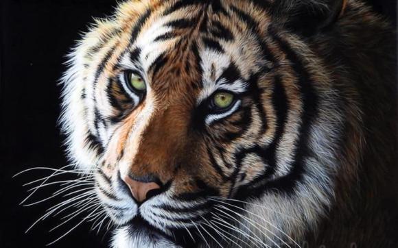 Top 3 con giáp giả nghèo giả khổ nhưng đích thị là đại gia, giàu nứt đố đổ vách, lắm tiền nhiều của-2