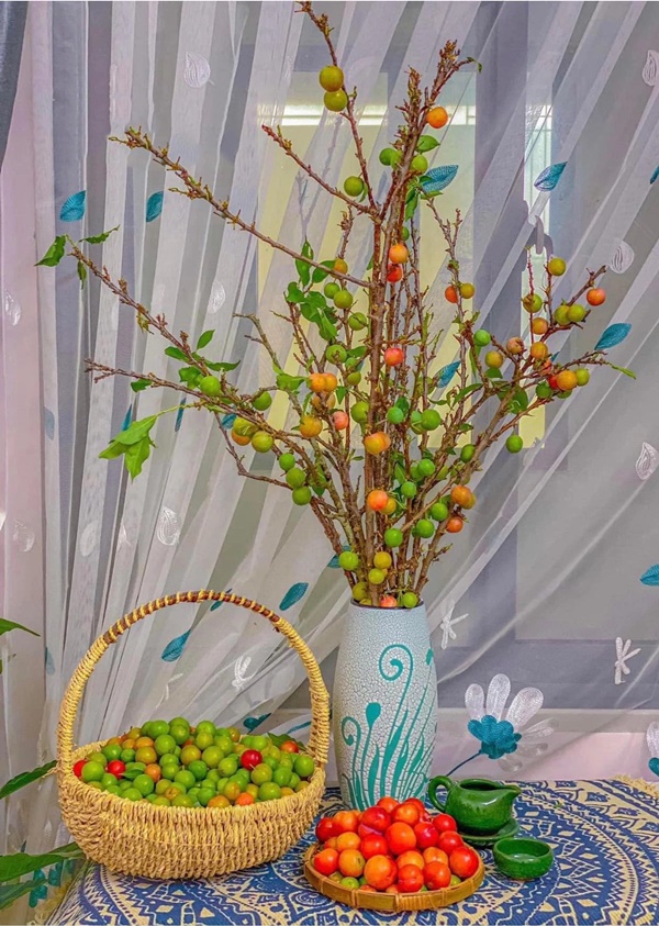 Chị em ở Hà Nội rộ mốt cắm cành quả mận, vừa đẹp nhà mà khi thèm còn vặt chấm muối ớt ăn được liền-8
