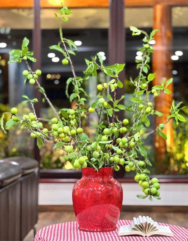 Chị em ở Hà Nội rộ mốt cắm cành quả mận, vừa đẹp nhà mà khi thèm còn vặt chấm muối ớt ăn được liền-9