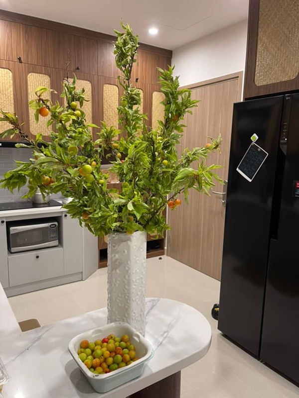 Chị em ở Hà Nội rộ mốt cắm cành quả mận, vừa đẹp nhà mà khi thèm còn vặt chấm muối ớt ăn được liền-10