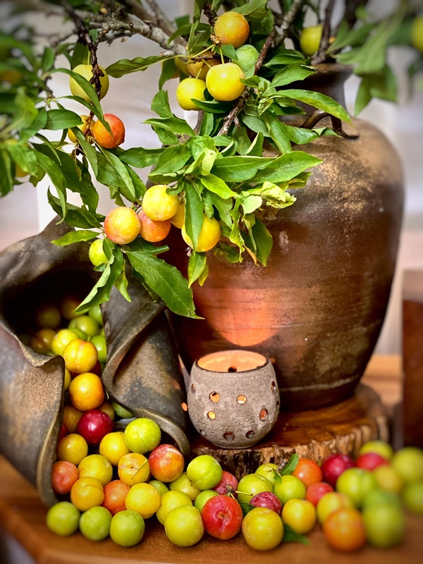 Chị em ở Hà Nội rộ mốt cắm cành quả mận, vừa đẹp nhà mà khi thèm còn vặt chấm muối ớt ăn được liền-12