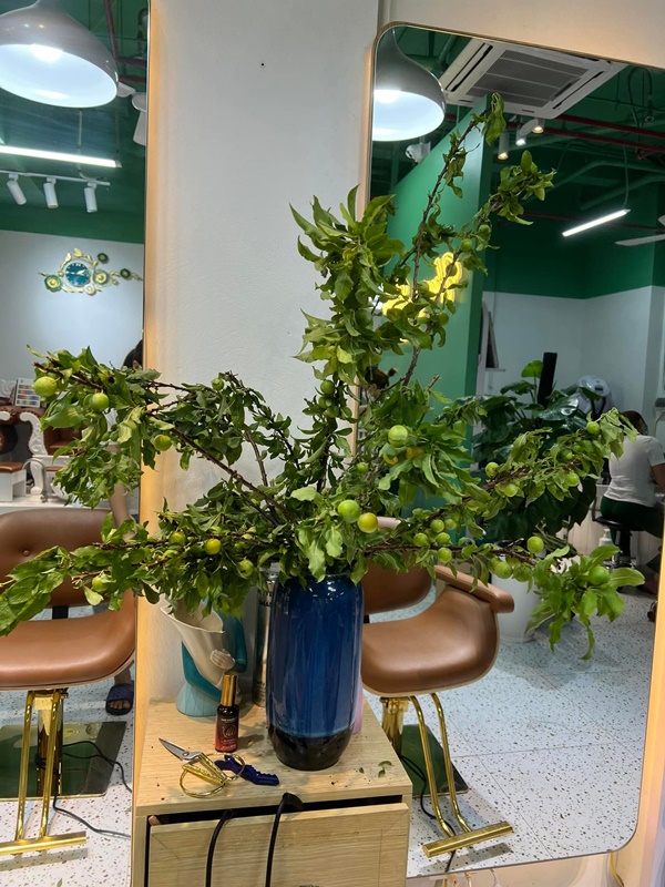 Chị em ở Hà Nội rộ mốt cắm cành quả mận, vừa đẹp nhà mà khi thèm còn vặt chấm muối ớt ăn được liền-15