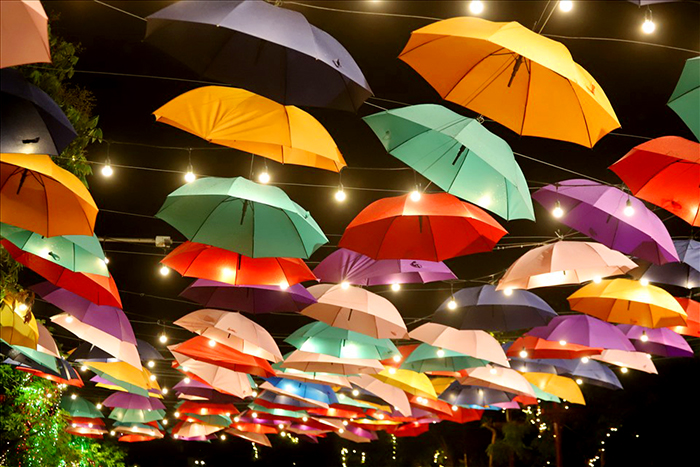 Tái khởi động phố đi bộ Trịnh Công Sơn, quận Tây Hồ-4