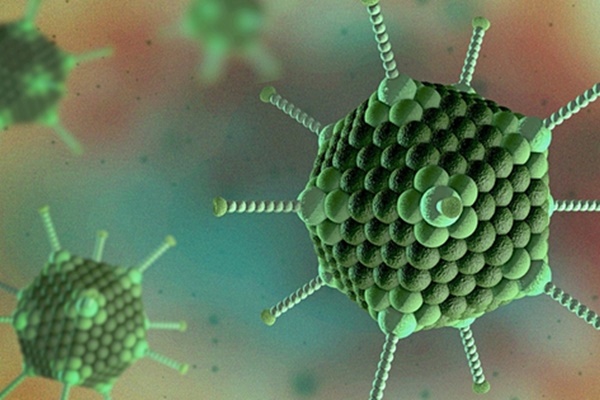 Dịch viêm gan bí ẩn lan ra ít nhất 23 quốc gia-3