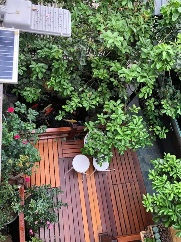 Thanh Lam bất ngờ khoe góc sân thượng ngập hoa hồng-4