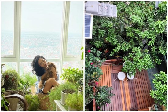 Thanh Lam bất ngờ khoe góc sân thượng ngập hoa hồng