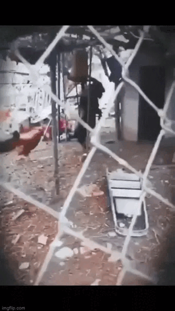 Thấy con dê đi 2 chân, chủ lấy điện thoại ghi lại, những gì diễn ra sau đó gây rùng mình-2