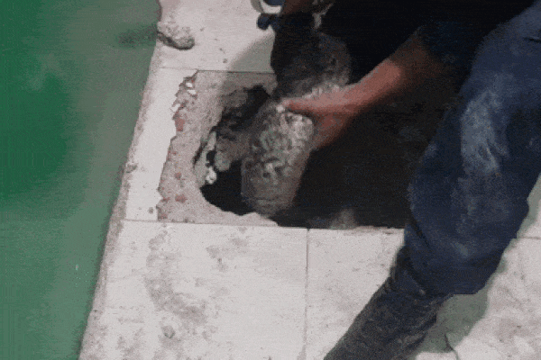 Đục thủng sàn nhà, nhóm người lôi lên một thứ khiến ai nhìn cũng thất kinh