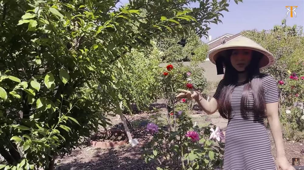 Căn nhà Hà Thanh Xuân sống trước khi trở thành vợ Vua cá Koi-6