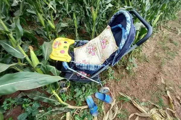 Tìm thấy thi thể cô giáo cùng 2 con nhỏ nổi trên sông ở Hải Dương-5