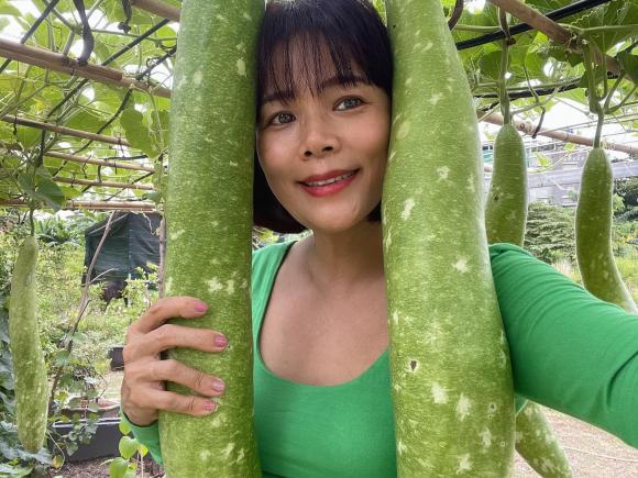 Ca sĩ Mỹ Lệ khoe khu vườn rộng hàng nghìn m2: Chăn nuôi gia súc, cây trồng sai trĩu quả, ngập hoa thơm-1