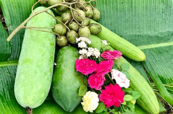 Ca sĩ Mỹ Lệ khoe khu vườn rộng hàng nghìn m2: Chăn nuôi gia súc, cây trồng sai trĩu quả, ngập hoa thơm-19