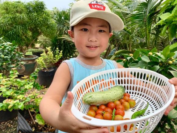 Ca sĩ Mỹ Lệ khoe khu vườn rộng hàng nghìn m2: Chăn nuôi gia súc, cây trồng sai trĩu quả, ngập hoa thơm-22