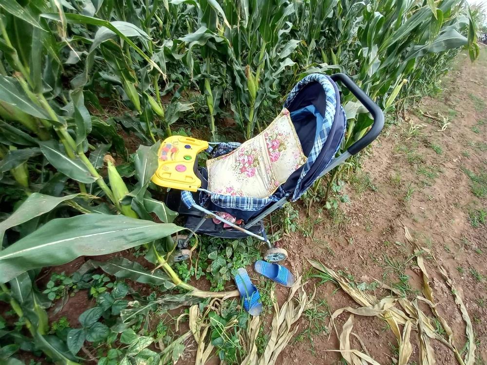 Cô giáo ôm 2 con nhảy sông: Ám ảnh đứa trẻ 9 tháng tuổi trên lưng mẹ-4