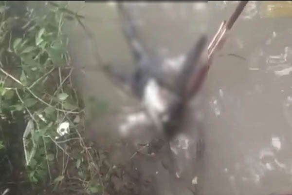 Bắt kẻ biến thái giả danh công an để giở trò xấu với trẻ em gái-2