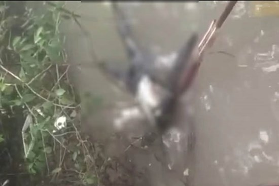 Phát hiện thi thể không đầu, mất 2 bàn tay trôi trên sông ở Cà Mau