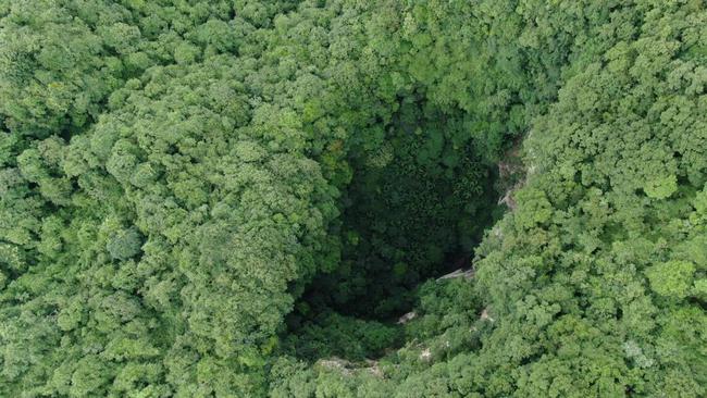 Nghề nguy hiểm: Thu thập hạt giống trên núi cao 5.000m hay hố sâu dưới lòng đất với những rủi ro không ai ngờ-7