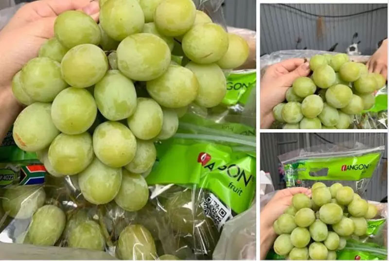 Nho xanh Úc ‘giòn như cà pháo’, hạn chế người mua 3kg/đơn hàng-1