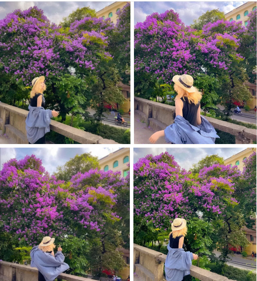 Tìm ra góc bằng lăng tím lên hình đẹp nhất Hà Nội, dân tình rủ nhau check-in nhanh kẻo đông-1